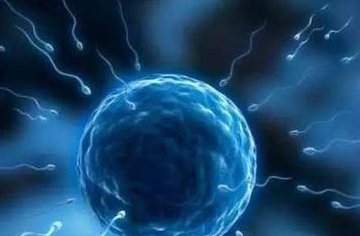 试管婴儿注意事项有哪些？这3点你一定要懂