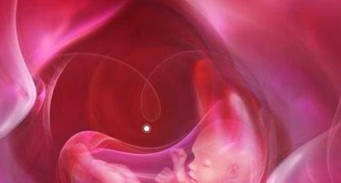 吉尔吉斯斯坦试管婴儿费用低至多少？精选性价比高试管医院推荐