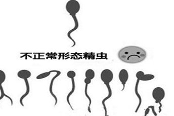 海淀妇幼试管婴儿费用，北京市海淀区妇幼