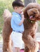 唐山试管的费用大约多少？省钱攻略有吗？