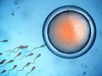 北京试管医院排名前十实力均不俗，来选择你的心仪医院