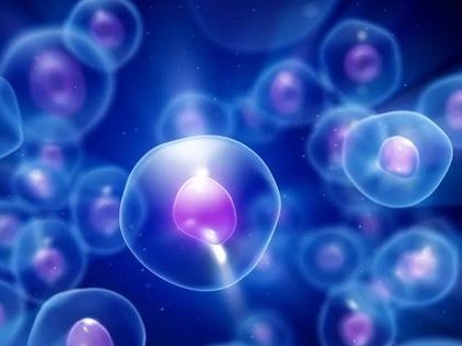 糖尿病去上海瑞金医院做试管要花费多少钱？费用明细是怎么样的？