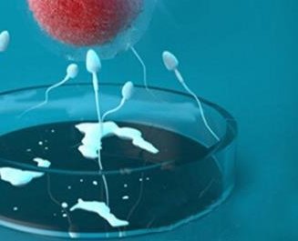 呼伦贝尔2026试管婴儿助孕明细，医院费用排行